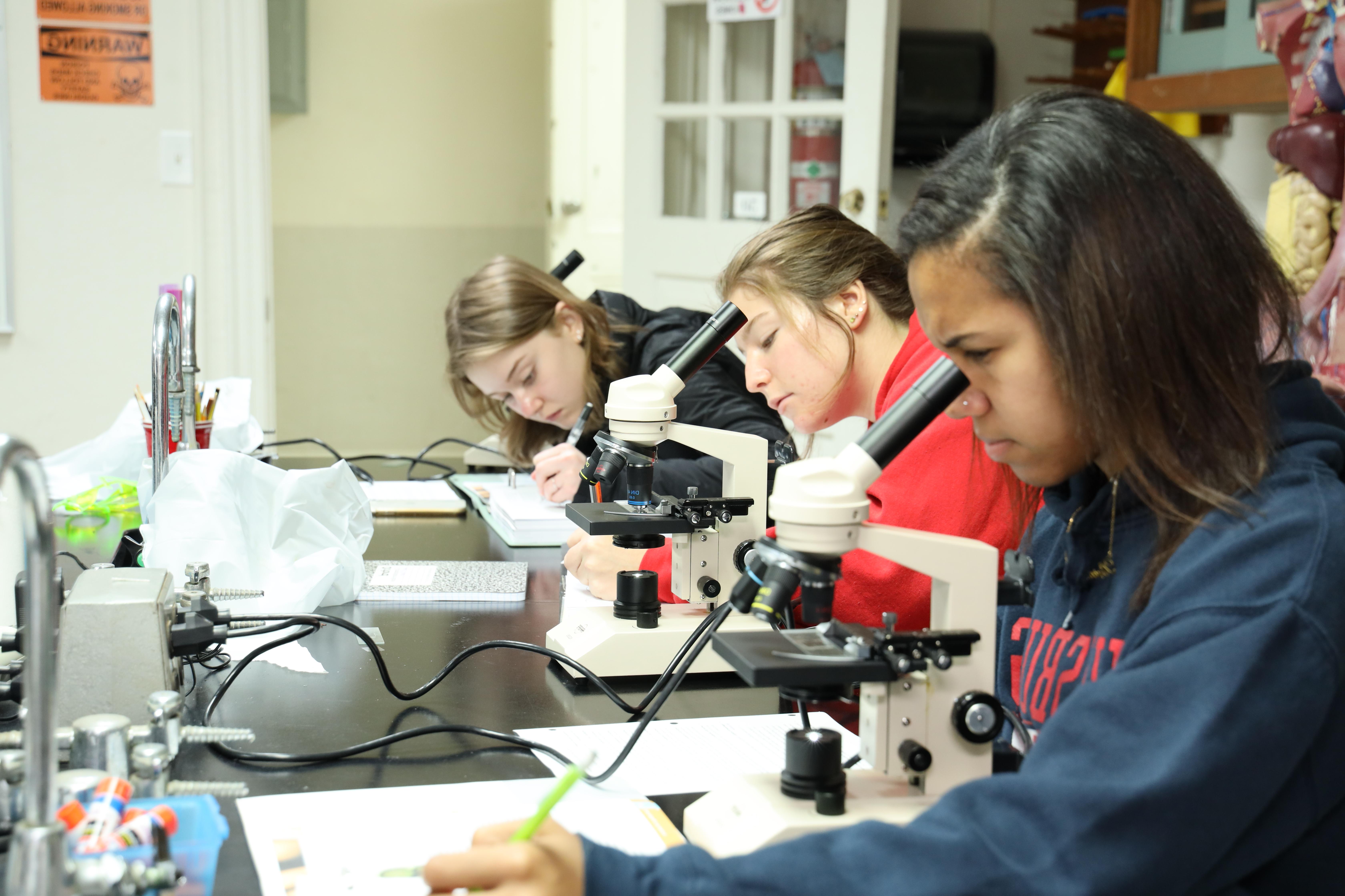 Students working in a biology lab.